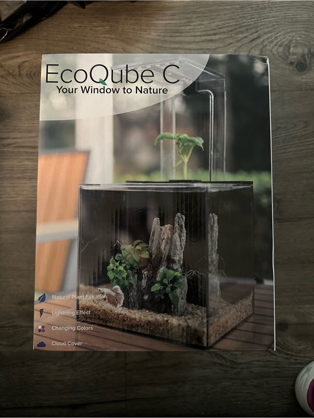 Indoor Aquarium Planter - Black
